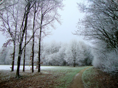 winterwandeling doorkijk